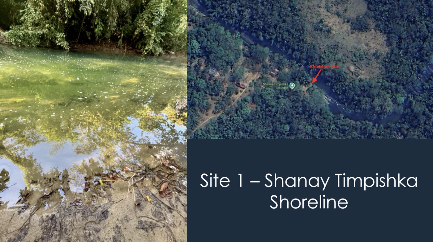 Site 1 — Shanay Timpishka shoreline