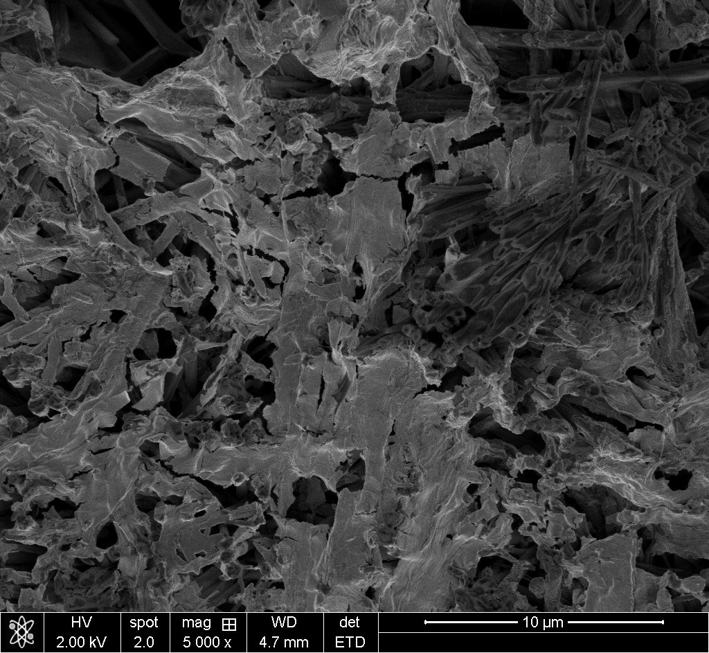 SEM image of the freeze-dried Fmoc-FF hydrogel showing a fibrous, porous network