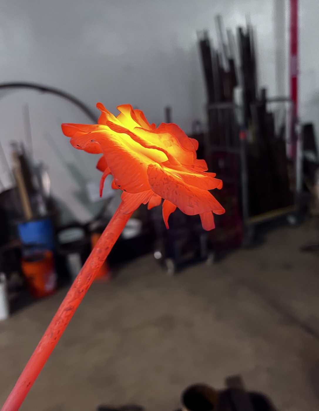 Rose just after being taken out of the forge